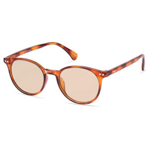 Classic Polarized Sunglasses 5