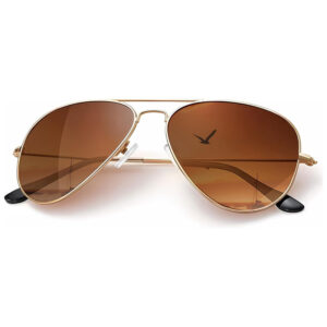 Oversized Aviator Sunglasses 2